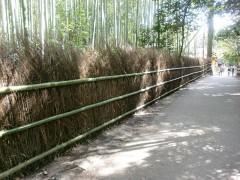 photo013