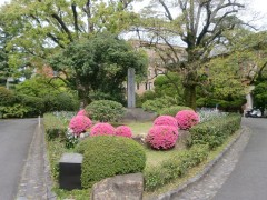 photo015