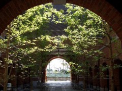 photo016