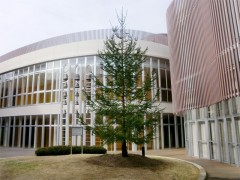 photo023