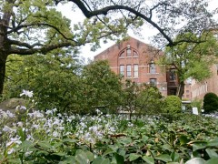 photo024