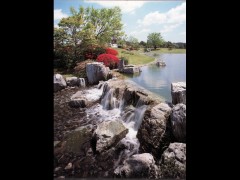 photo026