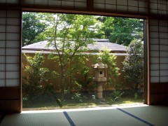 photo11