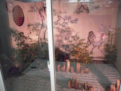 photo2