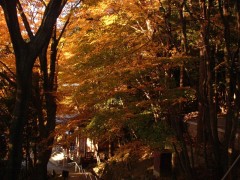 photo23