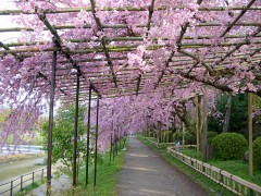 photo24