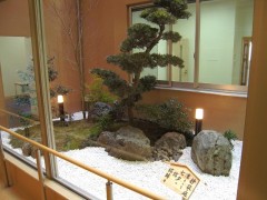 photo25