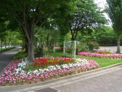 photo26