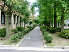 CIMG0902