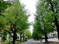 CIMG0918