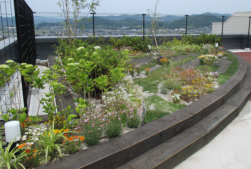 綾部はなみずき南棟（特別養護老人ホーム）屋上庭園