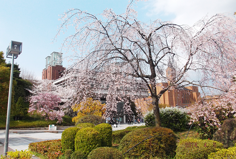 同志社大学　高等学校・中学校・小学校