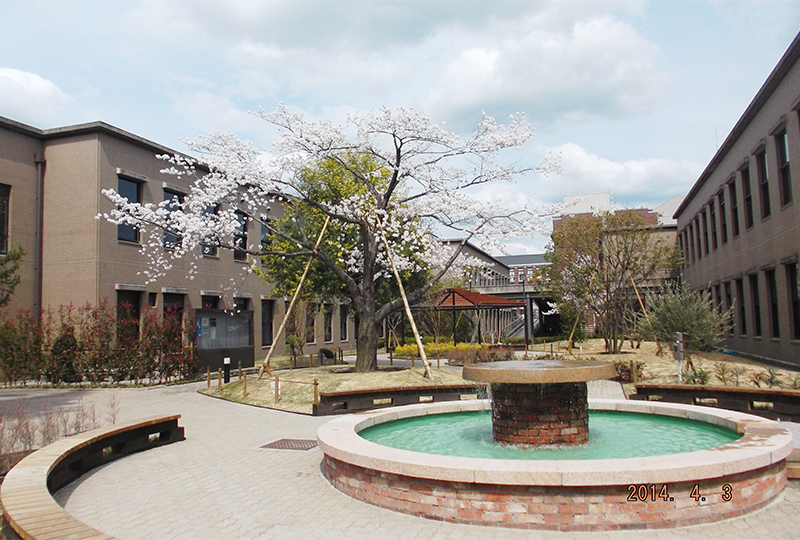 同志社大学　高等学校・中学校・小学校