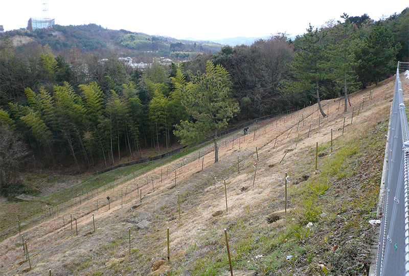 同志社大学　高等学校・中学校・小学校