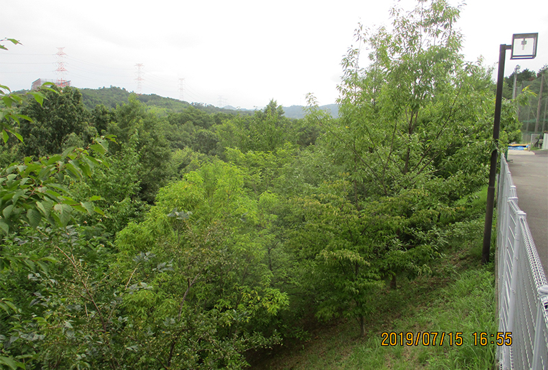 同志社大学　高等学校・中学校・小学校
