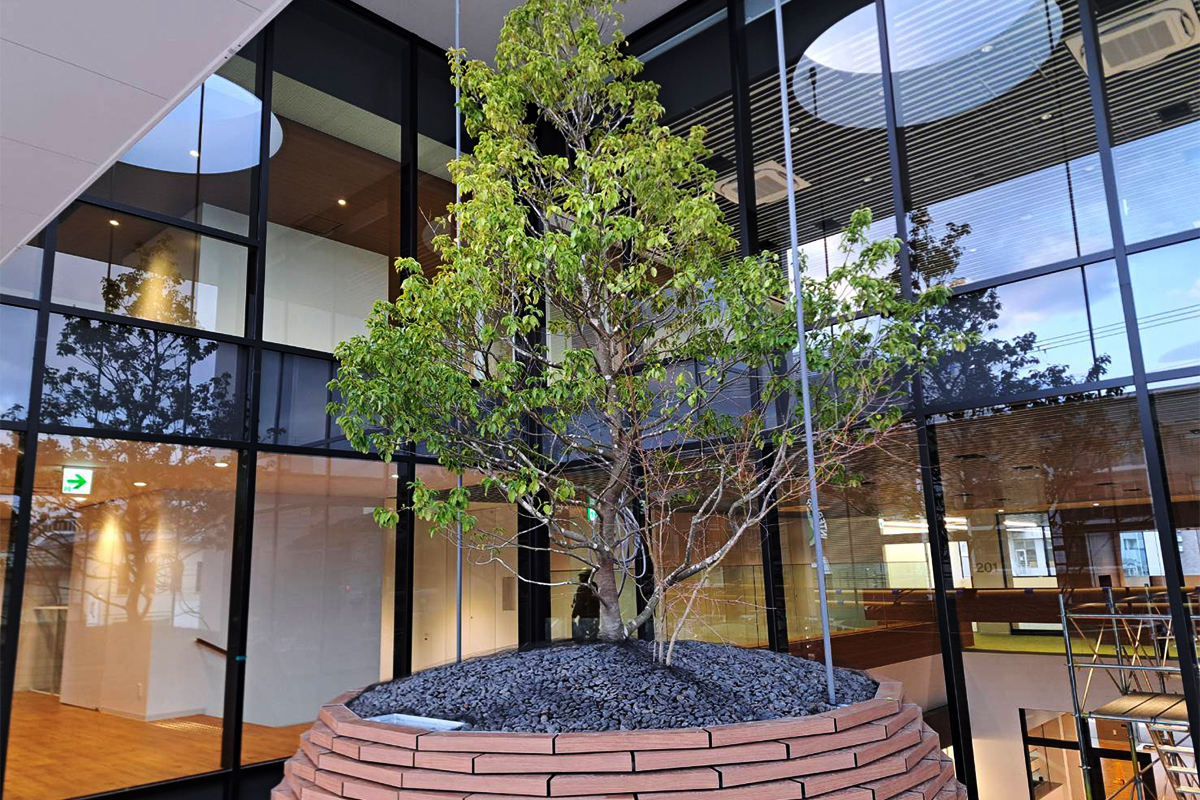 龍谷大学付属 平安高等学校・中学校