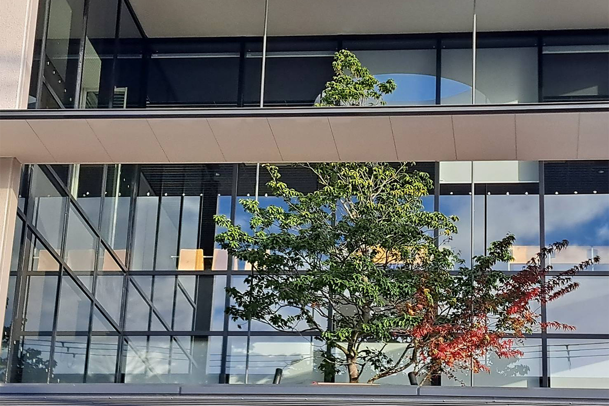 龍谷大学付属 平安高等学校・中学校